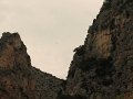 (14) 2010 Moustiers Ste Marie